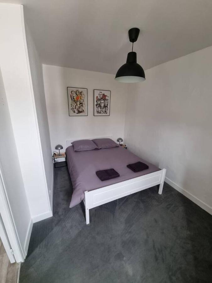 Le Cinema - Lourdes - Proche Sanctuaire Apartment Ngoại thất bức ảnh