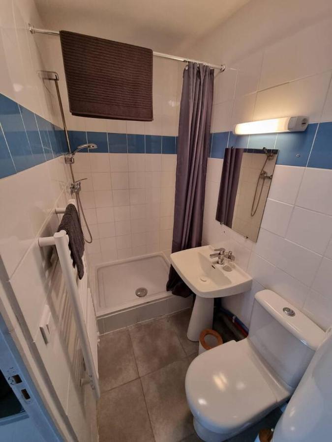 Le Cinema - Lourdes - Proche Sanctuaire Apartment Ngoại thất bức ảnh