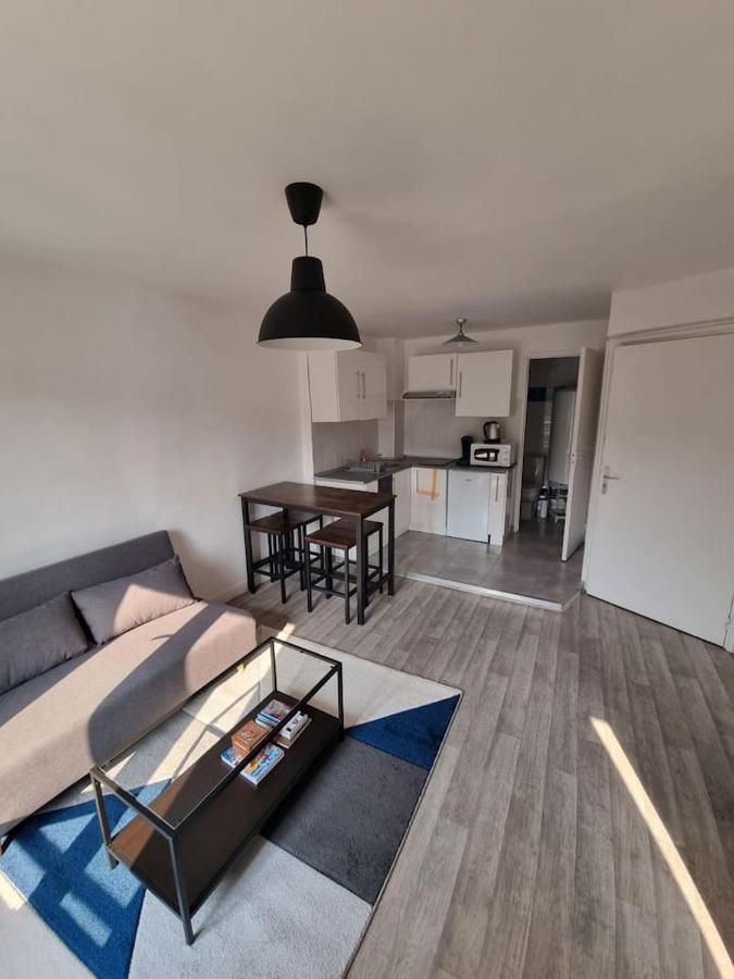 Le Cinema - Lourdes - Proche Sanctuaire Apartment Ngoại thất bức ảnh